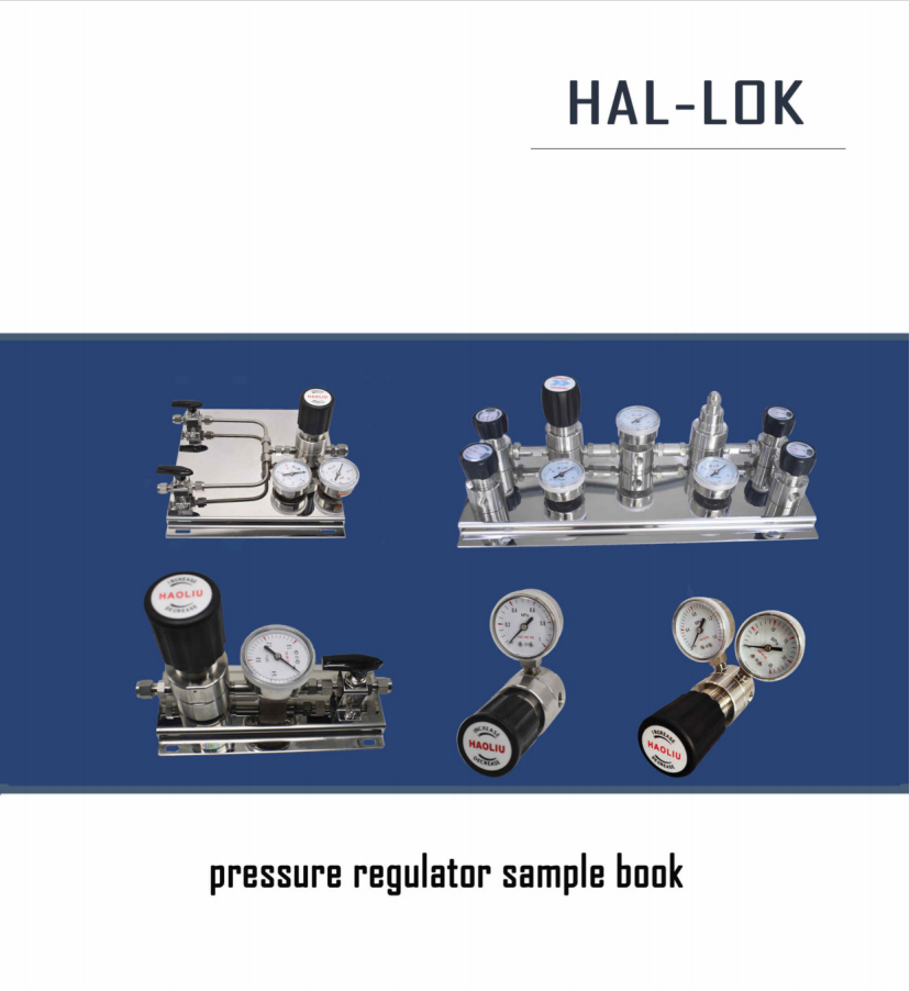 Shanghai Haoliu Pressure Regulator Sample Book