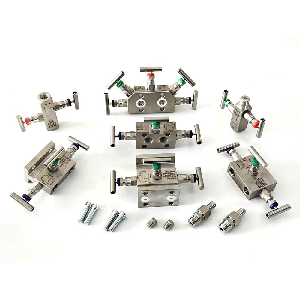 Needle Valve Manifolds: Precision Control in Indus...